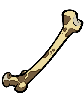 Knochen