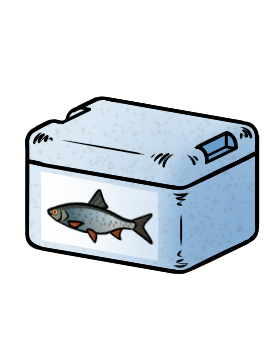 Kühlbox (mit Döbel-Aufkleber)