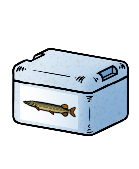 Kühlbox (mit Hecht-Aufkleber)