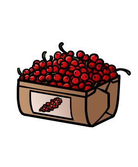 Johannisbeeren-Box
