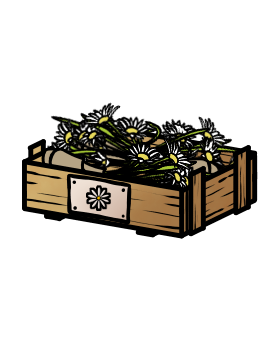 Sommerwiesen-Blumen (Kiste)