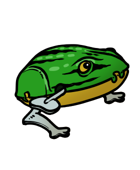 Aufziehfrosch